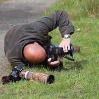 chris smith (@chris_nsmith) 's Twitter Profile Photo