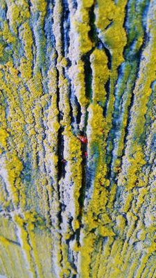 melaniecomber's profile picture. Contemporary Painter