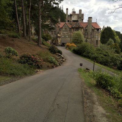 whiteleecottage's profile picture. 