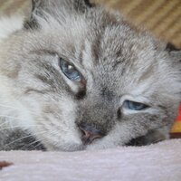 篠田 和之 (@shinodakazuyuki) 's Twitter Profile Photo