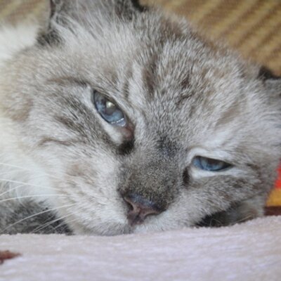 篠田 和之 栃木県で新たに27人 茨城県で検査した県内在住1人がコロナ陽性 経路不明12例14人 1人取り下げあり 陽性者累計は6 902人に 最近4週間の新規陽性者推移 174 1 124 135