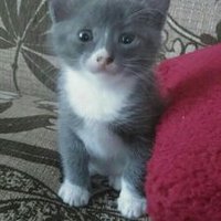 Melike (@benmelikeee) Twitter profile photo
