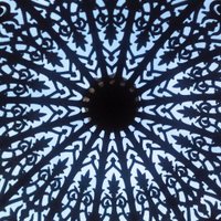Wiebke McGhee (@wiebkemcghee) 's Twitter Profile