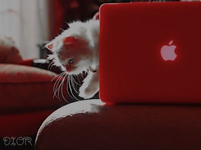 Mram_alalm3y's profile picture. ‏‏‏‏كل فكره صغيره تتحول بالآصرار والآستمرار الي واقع يلمسه الناس لابد 
ان يبذل الانسان الجهد لبلوغ الهدف مع آيمانه ويقينه ..بنجاحه