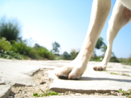 moultonian's profile picture. 