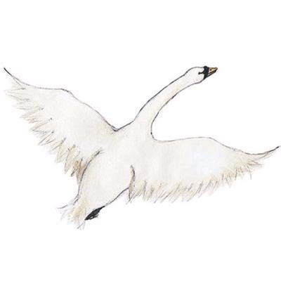 The twitter account for a bedtime story called The Swan, now available on Amazon https://t.co/MTU1f8wJnL