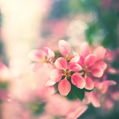 7mood_iPhone's profile picture. 