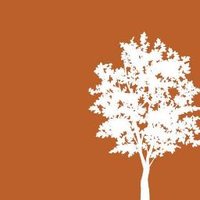 Cottonwood Res (@cottonwood_res) 's Twitter Profile