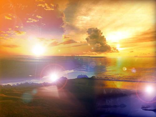 musedegrenoble's profile picture. recevoir et donner des informations .......