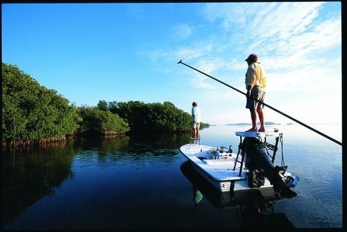 Inshore Charter Fishing Guide
Tarpon, snook, redfish, trout and more. Clearwater Fl.
727 458-6335