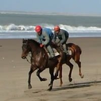 Guillaume Macaire (@sitegmacaire) 's Twitter Profile