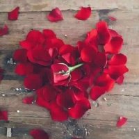 (ALM)Ayten AEBFC👑 (@ayten424) 's Twitter Profile Photo (ALM)Ayten AEBFC👑 (@ayten424) 's Twitter Profile Photo