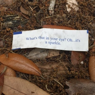 PriceBestHere's profile picture. Best. Price! Here!! Best priced used and new items on ebay, new items daily!! https://t.co/lWengQ45nO