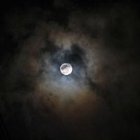 #kunguirungu (@kungu01) 's Twitter Profile Photo