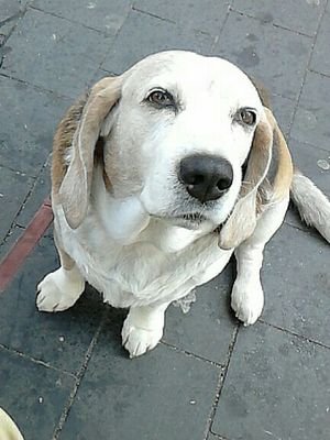 qwantenspruenge's profile picture. Masch.Bau Ing. Hobbys,Astronomie, Musik,Motorrad,malen und Politik, Frauen und mehr,gibt es was besseres als Frauen!?