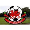 AFC Bargoed play in the Taff Ely and Rhymney Valley Football League