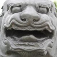 ãœãð¥ (@pomdelion_rjot) 's Twitter Profile Photo ãœãð¥ (@pomdelion_rjot) 's Twitter Profile Photo