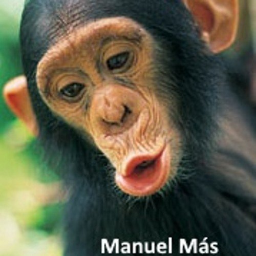 Soy un simple lector de buen criterio.
La foto del mono la utilizó desde 1995 en el hotmail, me pareció graciosa la forma  de identificarme con mis amigos