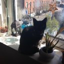 Niall Thomas Best - @nialleightyfour - Twitter