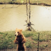 krhrhrt (@krhrhrt1989) 's Twitter Profile