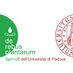 DeRebusPlantarum (@drplantarum) Twitter profile photo DeRebusPlantarum (@drplantarum) Twitter profile photo