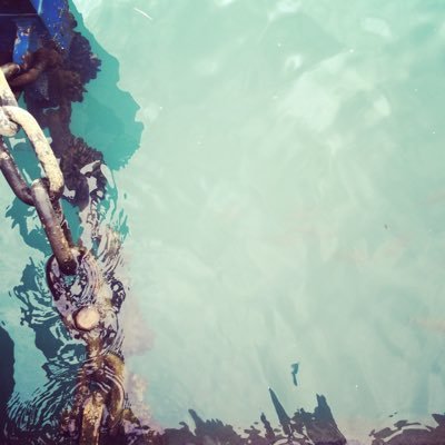 bueffelfell's profile picture. 