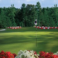 Governors Towne Club (@gtcgolf) 's Twitter Profile