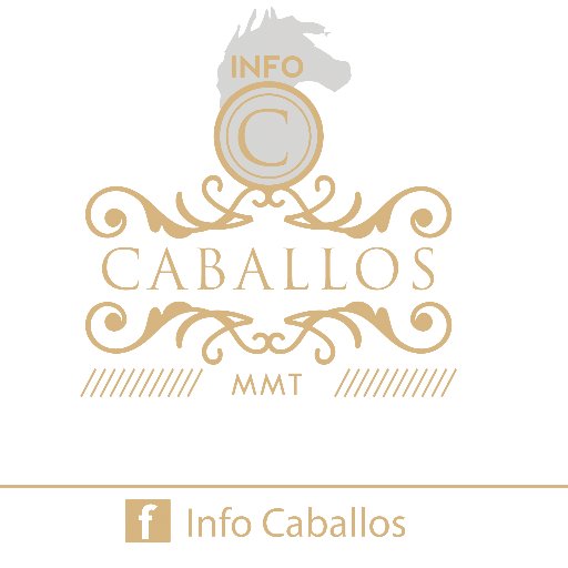 Portal Informativo de Caballos, difundido por los distintos medios.Cobertura de eventos, documentales, novedades, clasificados y notas ecuestres imperdibles!