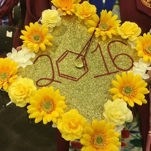 Elon Chem & Biochem Profile