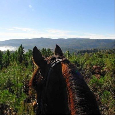 #horseriding #holidays in #Tuscany | laripariding@gmail.com