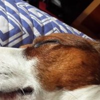 mariano y bichy (@mtac79) 's Twitter Profile