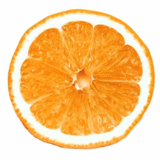 I can feel the earth begin to move, I hear my needle hit the groove.
Stone Roses news, info, downloads and loads more from the number 1 fansite.