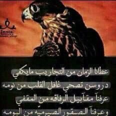 طيرك لاغفلت عنه صادوه القوانيص ...وانا اقول ماينوخذ طيرن وراعيه صقار