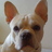 kebetang's profile image