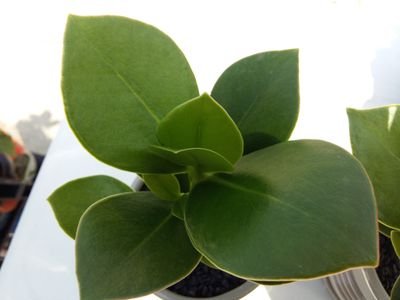 soonim5523's profile picture. 사랑합니다