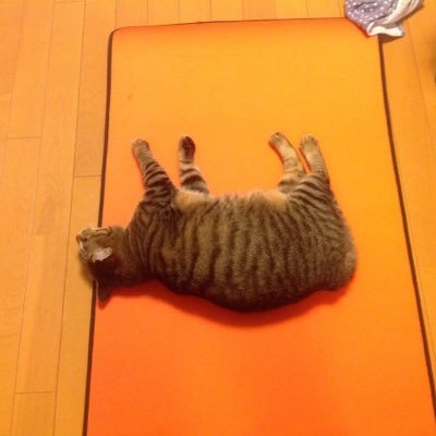 4666akyeai21110's profile picture. https://t.co/LMhnoNmWD7 食べてばかり