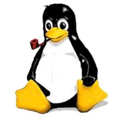 Pretty Young, SysAdmin, Networking, UNIX powered :), I like to travel a lot!