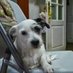 Luisa Figueroa (@luisafb5858) Twitter profile photo Luisa Figueroa (@luisafb5858) Twitter profile photo