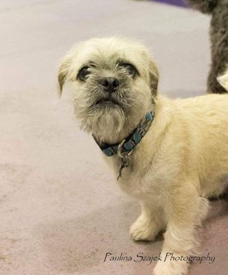 TerryinVictoria's profile picture. Loves running, dogs, poker, politics, reality tv, sports, people watching and I love where I live.