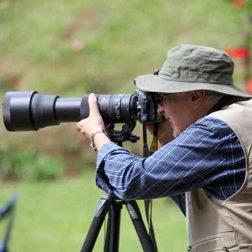 University of Los Andes Systems and Computing Engineer, IT Expert, 
360° Panoramics and nature photographer
www.instagram/ailianfoto
https://t.co/6WFekGC97R