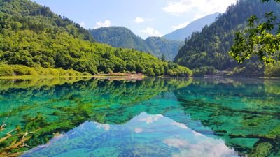 renenentony's profile picture. 包容、理解、感恩，積極思考並付諸行動！