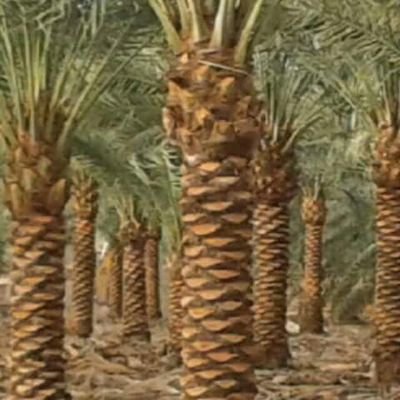 0534340558‏مقاول