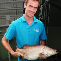 Jarrod Guppy (@jarrodguppy) 's Twitter Profile Photo Jarrod Guppy (@jarrodguppy) 's Twitter Profile Photo