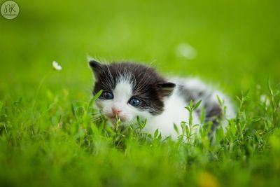 sathiyaprp's profile picture. Journalists Entertainment Sports Music Entertainment Channels Books & Authors Food, Fashion & Lifestyle