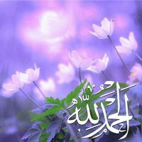 ..... (@ooeeoo1999) Twitter profile photo