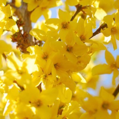 s20431's profile picture. 