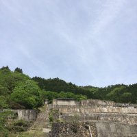 モンキー (@monkey_1984) Twitter profile photo