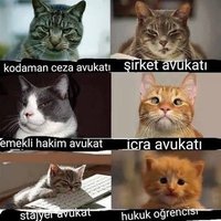 İcra Avukatı (@tazminatforum) 's Twitter Profile