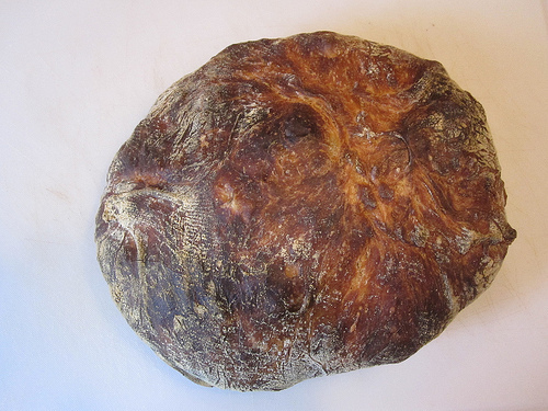 breadguys's profile picture. just some guys making some great bread and sharing it with the world.