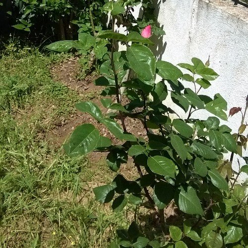 HelenaIthaka's profile picture. 